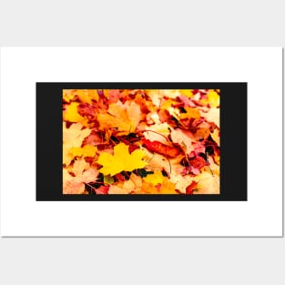 Autumn background of fallen yellow and orange leaves Posters and Art